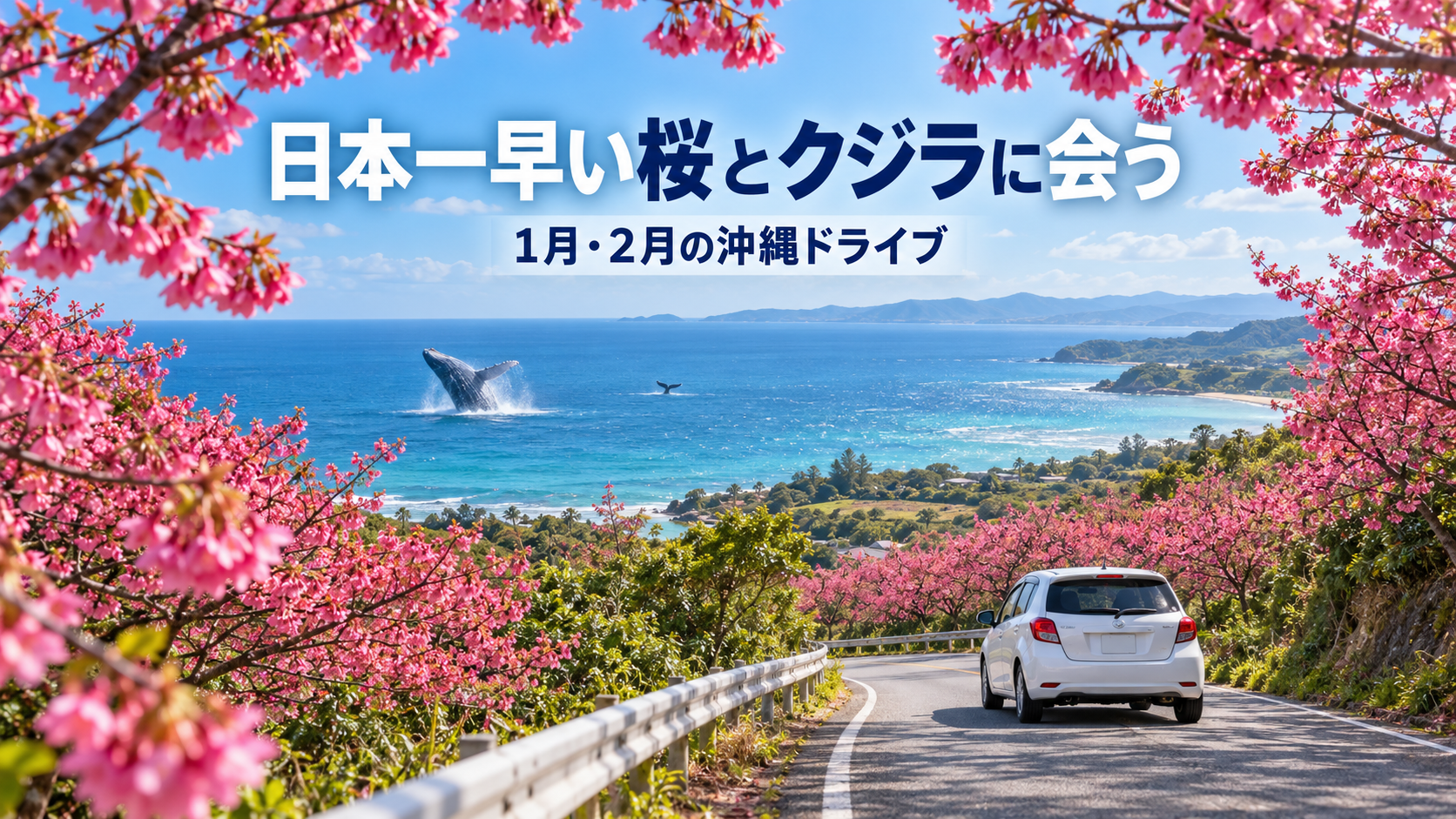 冬の沖縄の桜とドライブのイメージ